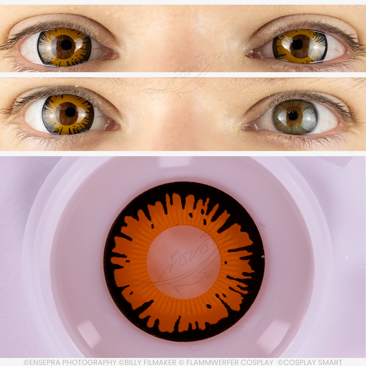 Lentilles Orange striée