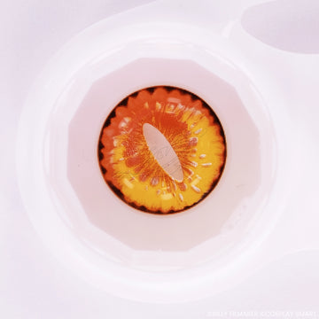 Lentilles Orange Jaune Dragon