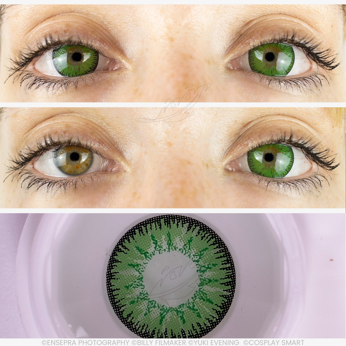 Lentilles Rayon Vert