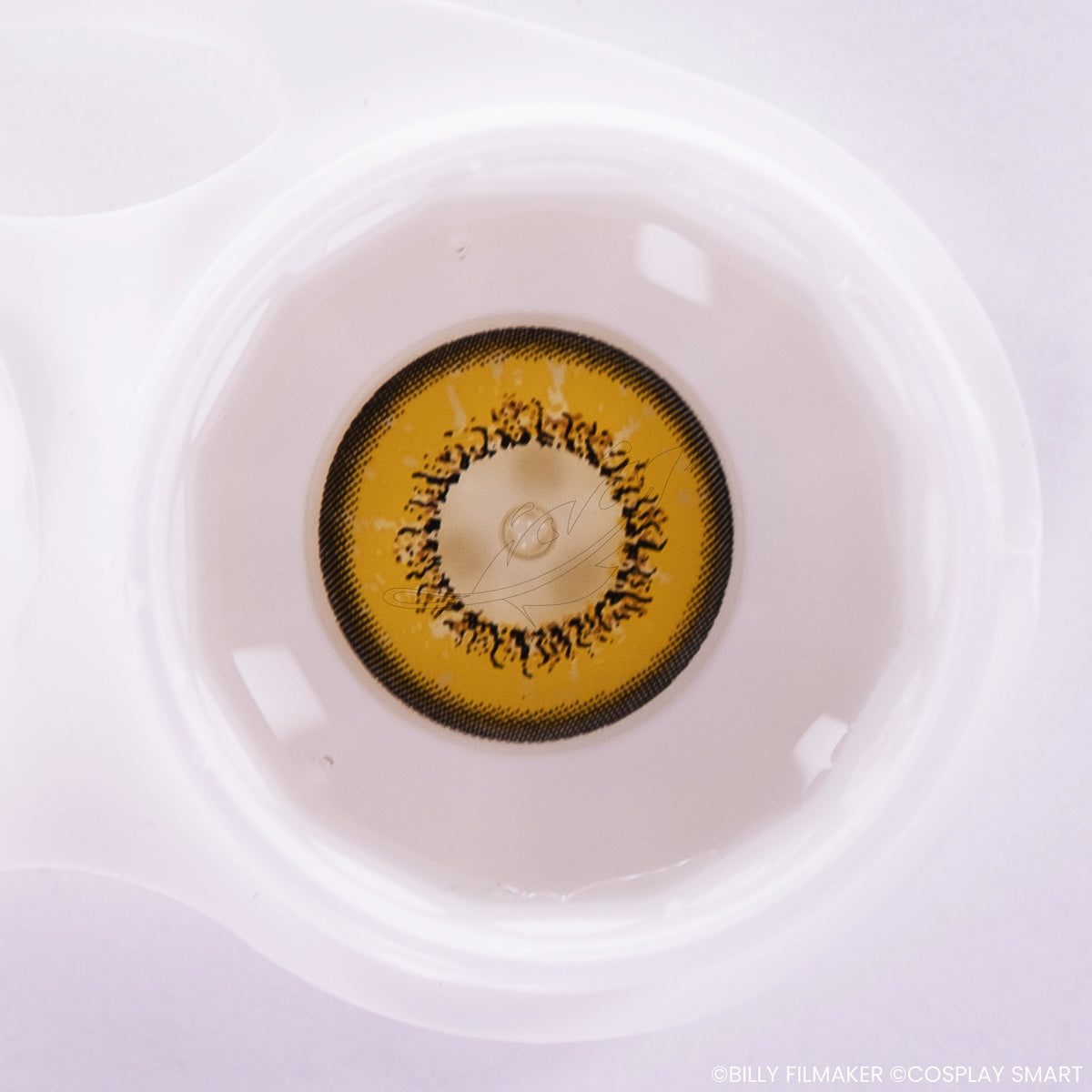Lentilles Jaune tournesol