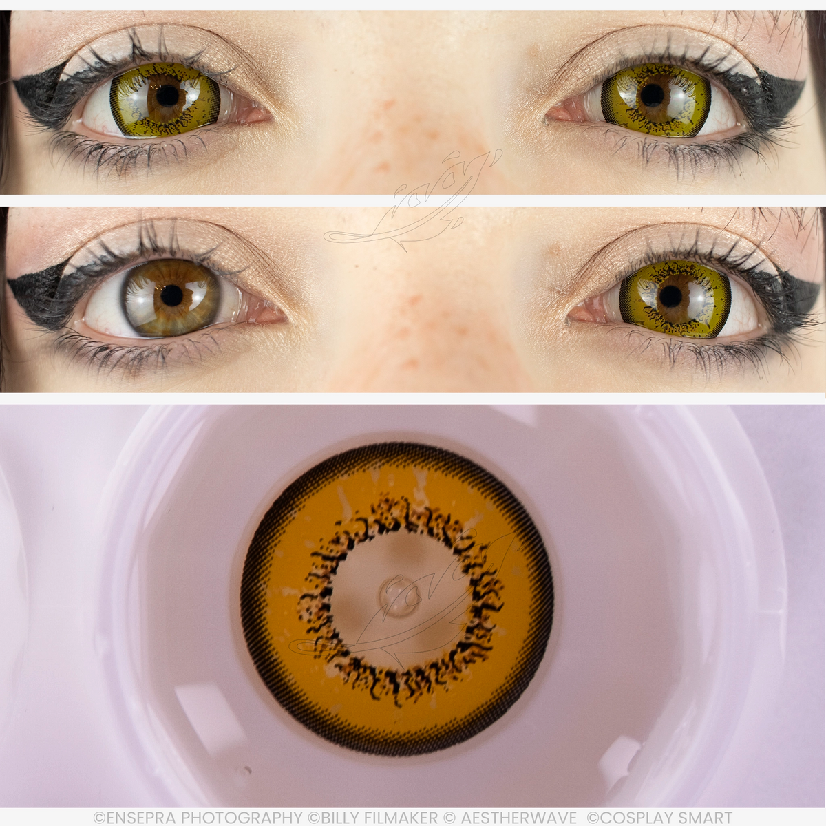 Lentilles Jaune tournesol