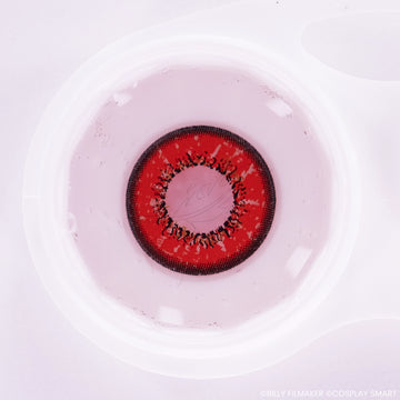 Lentilles Rouge tulipe