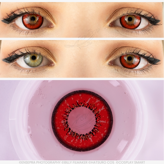 Lentilles Rouge tulipe