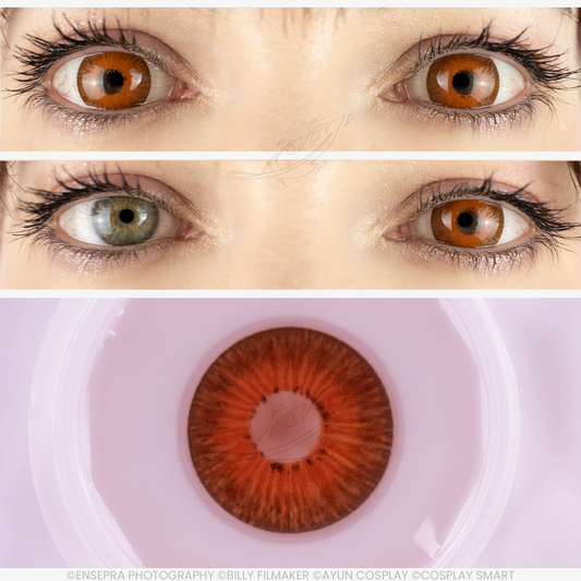 Lentilles Noisette Six-fours